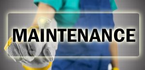 A person wearing gloves and holding something in their hand.